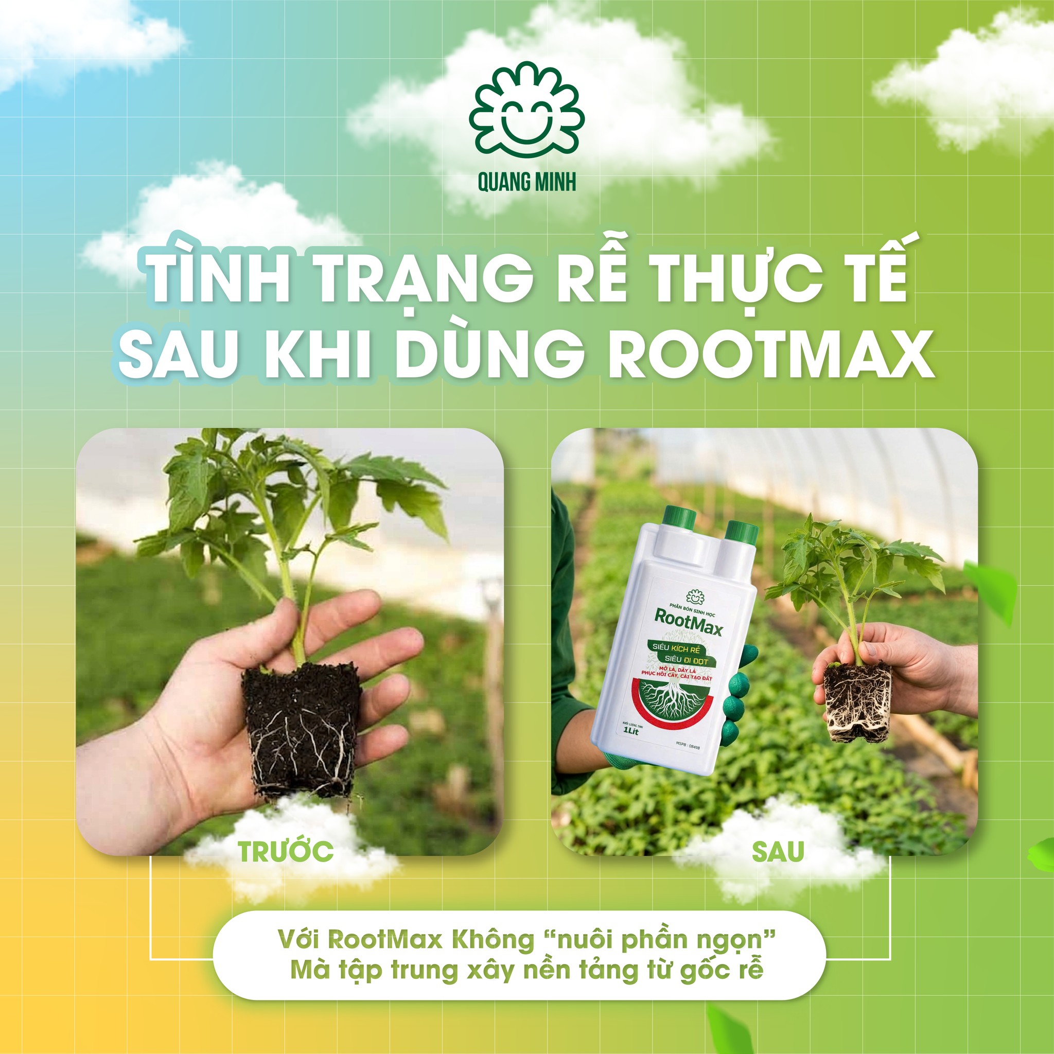 RootMax - Cải thiện từ gốc